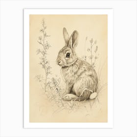 Chinchilla Rabbit Drawing 1 Art Print