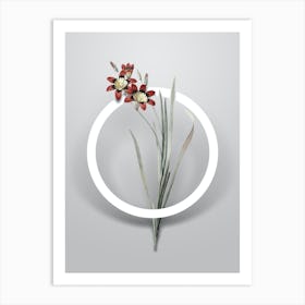 Vintage Ixia Tricolor Minimalist Flower Geometric Circle on Soft Gray Art Print