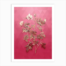 Vintage Pink Flowering Rosebush Botanical in Gold on Viva Magenta n.0353 Art Print