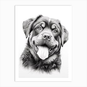 Rottweiler Dog, Line Drawing 3 Art Print