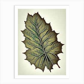 Elm Leaf Vintage Botanical 1 Art Print