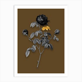 Vintage Agatha Rose in Bloom Black and White Gold Leaf Floral Art on Coffee Brown n.1105 Art Print