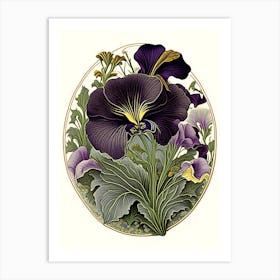 Pansy Wildflower Vintage Botanical 1 Art Print