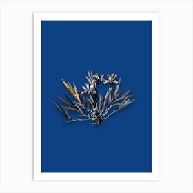 Vintage Dwarf Crested Iris Black and White Gold Leaf Floral Art on Midnight Blue Art Print