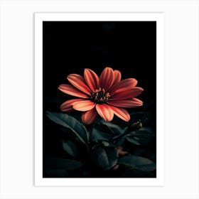 Dark Flower 6 Art Print