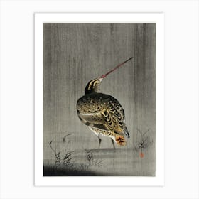 Snipe In The Rain (1900 1930), Ohara Koson Art Print