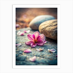 Petals And Pebbles Place A Delicate Flower Peta (1) Art Print