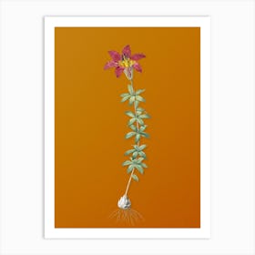 Vintage Wood Lily Botanical on Sunset Orange n.0868 Art Print