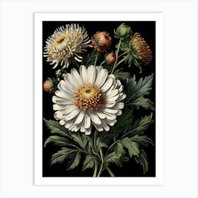 Asters Art Print