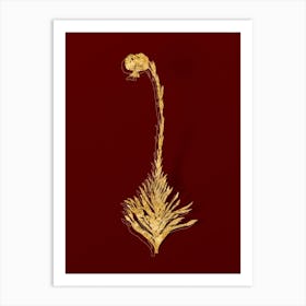 Vintage Scarlet Martagon Lily Botanical in Gold on Red n.0165 Art Print