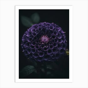 Purple Flower Art Print