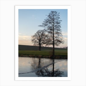 Trees and their reflection in a pond Art Print