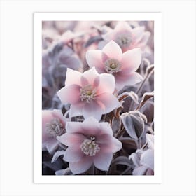 Frosty Botanical Lenten Rose 4 Art Print