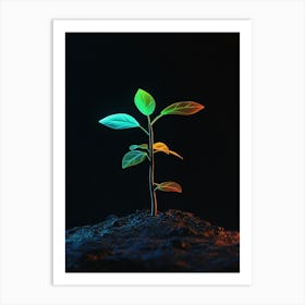 Plant Growing On The Ground 3 Art Print