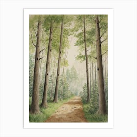 Path Through The Woods 4 Art Print