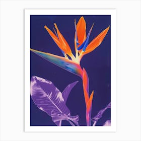 Bird Of Paradise 51 Art Print