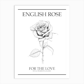 English Rose Black And White Line Drawing 10 Poster Art Print