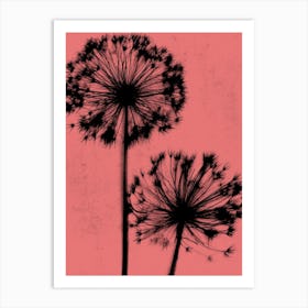 Coral black allium Art Print