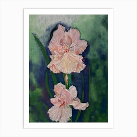 Irises after the rain, acrylic Art Print