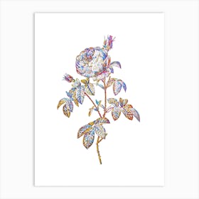 Stained Glass Provence Rose Bloom Mosaic Botanical Illustration on White n.0011 Art Print