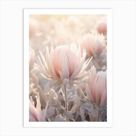 Frosty Botanical Protea 1 Art Print