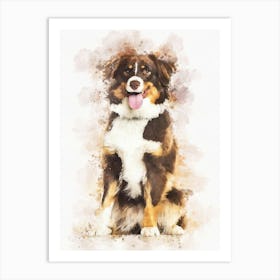 Border Collie Dog 1 Art Print