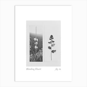 Bleeding Heart Botanical Collage 4 Art Print
