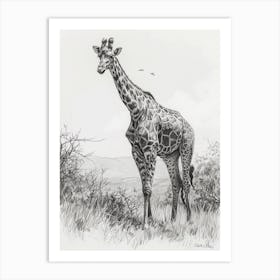 Pencil Portrait Of A Giraffe Standing 3 Art Print