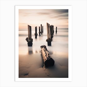 Driftwood On The Beach 1 Art Print