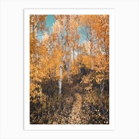 Autumn Forest - Grand Teton National Park Aspen Trees Art Print