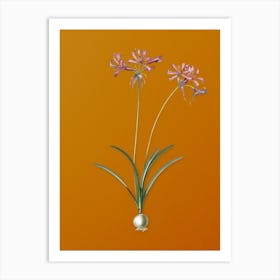 Vintage Nerine Botanical on Sunset Orange n.0772 Art Print