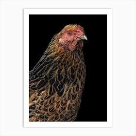 Proud Chicken Art Print