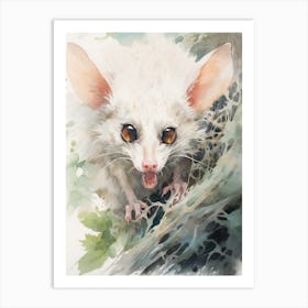 Light Watercolor Painting Of A Hissing Possum 4 Art Print