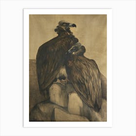 Two Arabian Vultures (1885–1917), Theo Van Hoytema Art Print