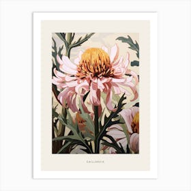 Flower Illustration Gaillardia 2 Poster Art Print