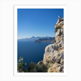 Seagull on a rock overlooking the Mediterranean Sea Art Print