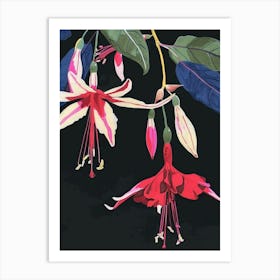Neon Flowers On Black Fuchsia 4 Art Print