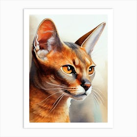 Abyssinian Cat animal Art Print