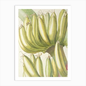 Bananas On A Tree Art Print