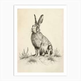 Lionhead Rabbit Drawing 2 Art Print