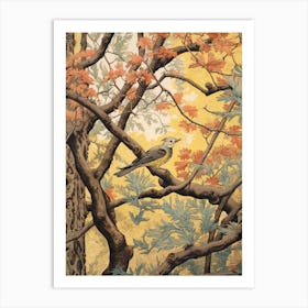 Winged Elm 3 Vintage Autumn Tree Print  Art Print