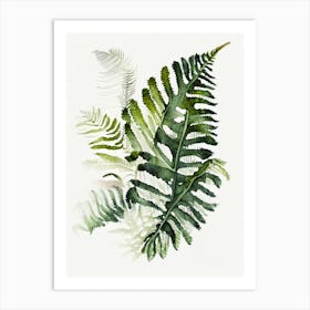 Crested Wood Fern  3watercolour Art Print