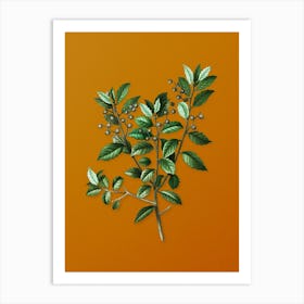 Vintage Evergreen Oak Botanical on Sunset Orange n.0290 Art Print