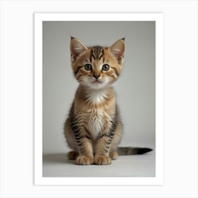 Kitten Portrait Art Print