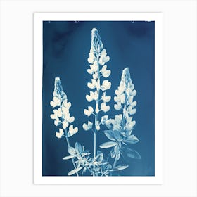 Lupine V Art Print