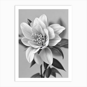 Lilac B&W Pencil 3 Flower Art Print