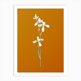 Vintage Siberian Iris Botanical on Sunset Orange n.0065 Art Print