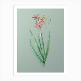 Vintage Blackberry Lily Botanical Art on Mint Green n.0367 Art Print