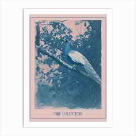 Peacock In The Tree Cyanotype Inspired 1 Poster Art Print
