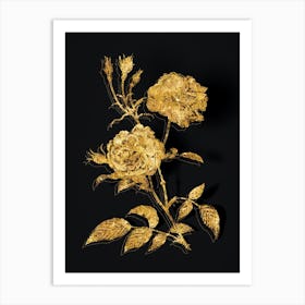 Vintage Vintage Ever Blowing Rose Botanical in Gold on Black n.0322 Art Print